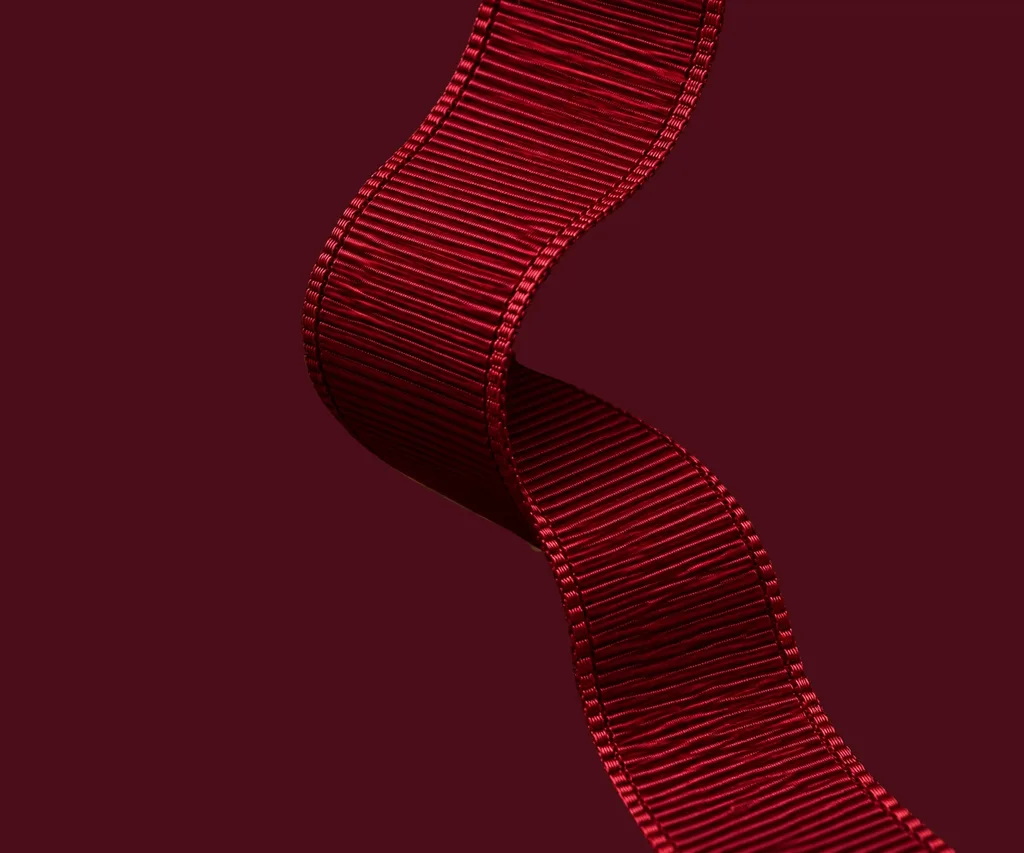 CASA LLANES the ribbon
